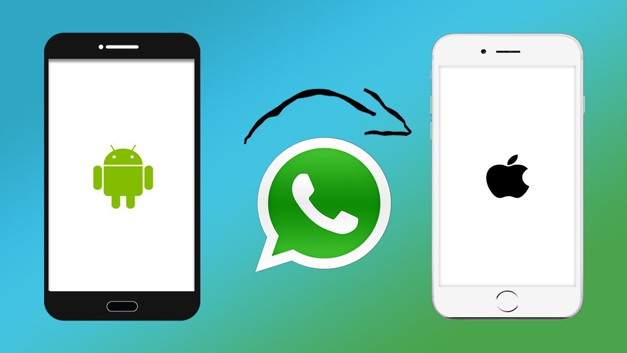 How To Transfer Whatsapp From Android To Iphone