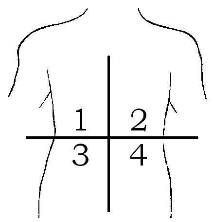 Nov 25, 2020 · regions and quadrants. Abdominopelvic quadrants MJ & MP