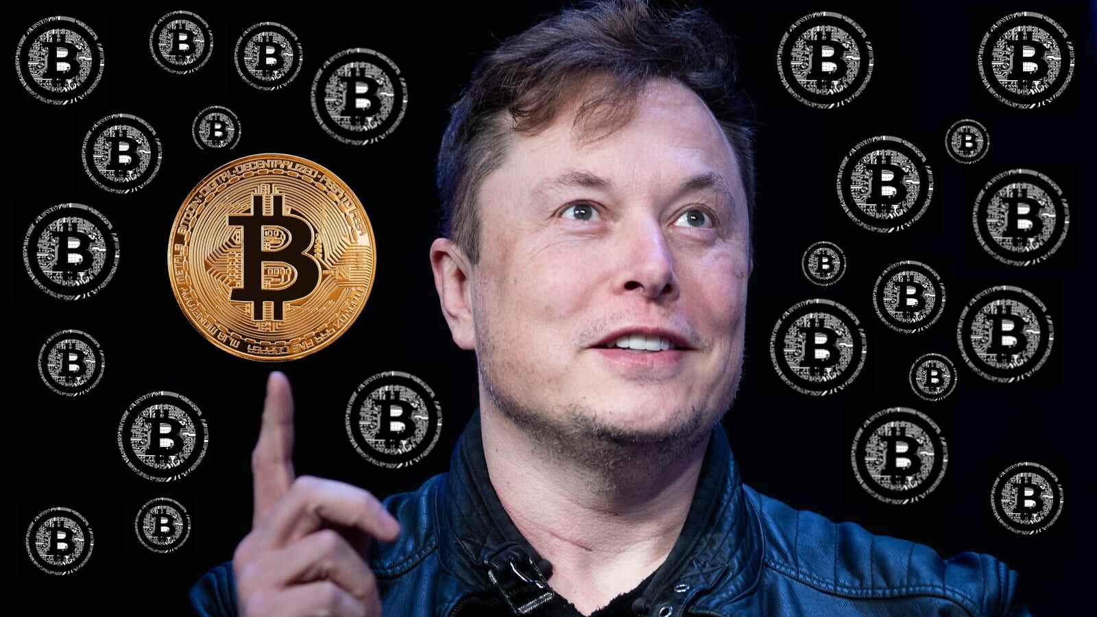 14 tahun menjadi misteri akhirnya ceo tesla, elon musk membongkar siapa sosok satoshi nakamoto pencipta bitcoin. Elon Musk Vs Bitcoin An Altruistic Crusade Or A Show Of Power