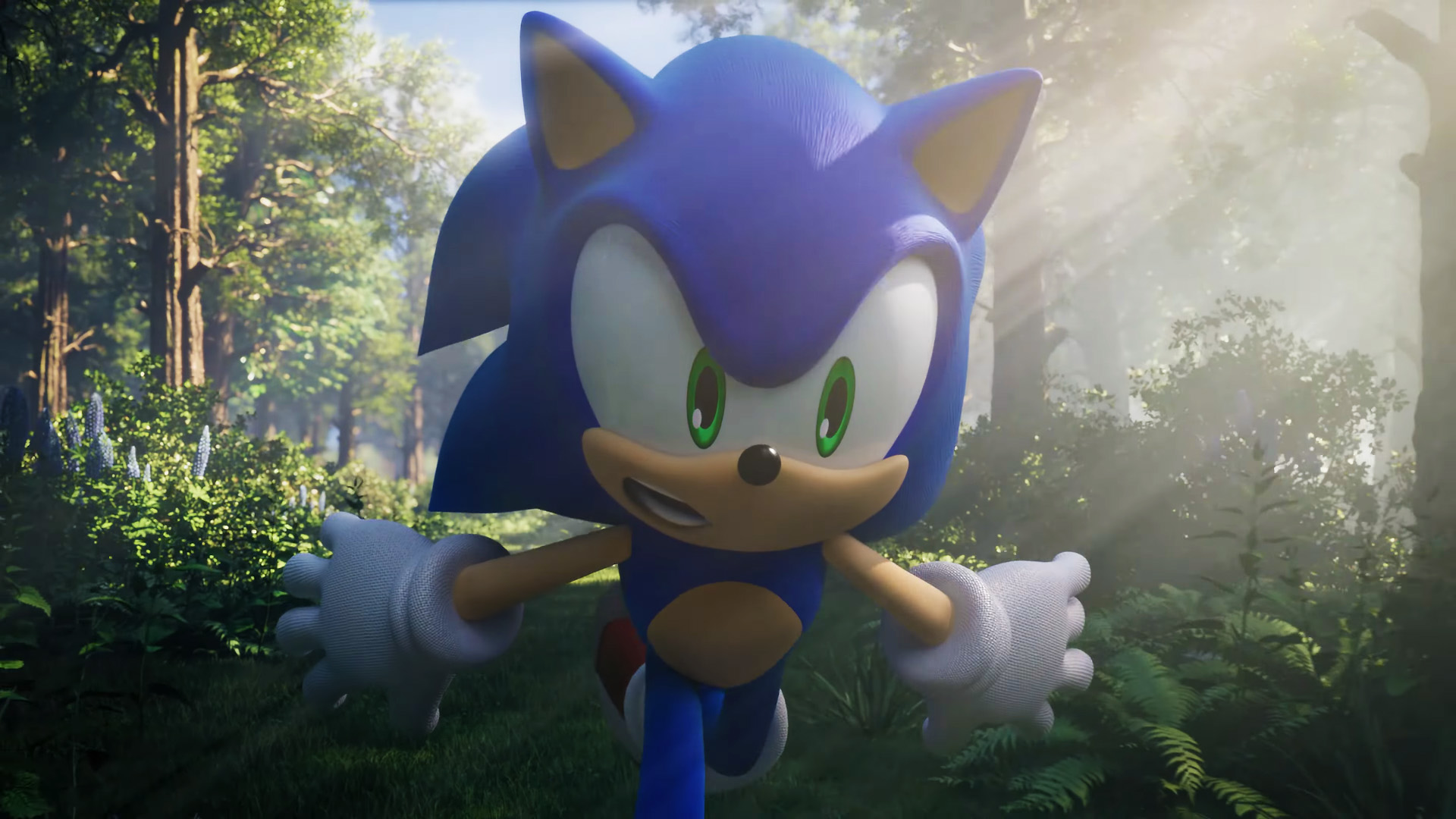 Multiple sonic games are on the way for the speedy hedgehog's 30th anniversary next year. Sonic Frontiers Was Supposed To Release In 2021 Game Was Delayed To Further Brush Up The Quality