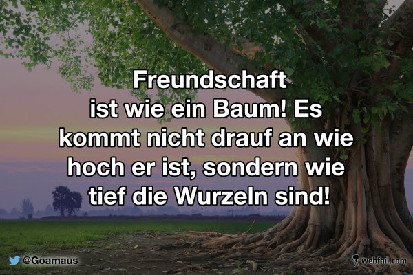 Freundschaft Ist Wie Ein Baum - Fun Bild | Webfail - Fail Bilder Und Fail Videos 400_x_600_jpg