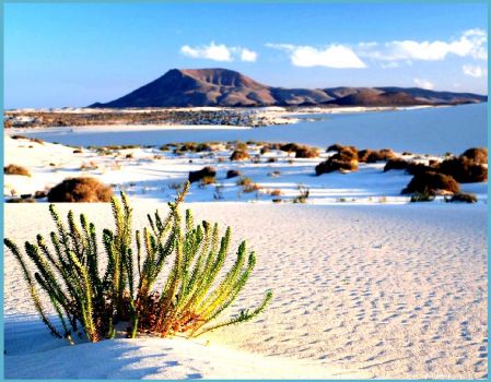 The rivalry between the cities of las palmas de gran canaria and santa cruz de tenerife for the capital of the islands led to the division of the archipelago . Jigsaw Puzzle Kanarske Ostrovy 80 Pieces Jigidi