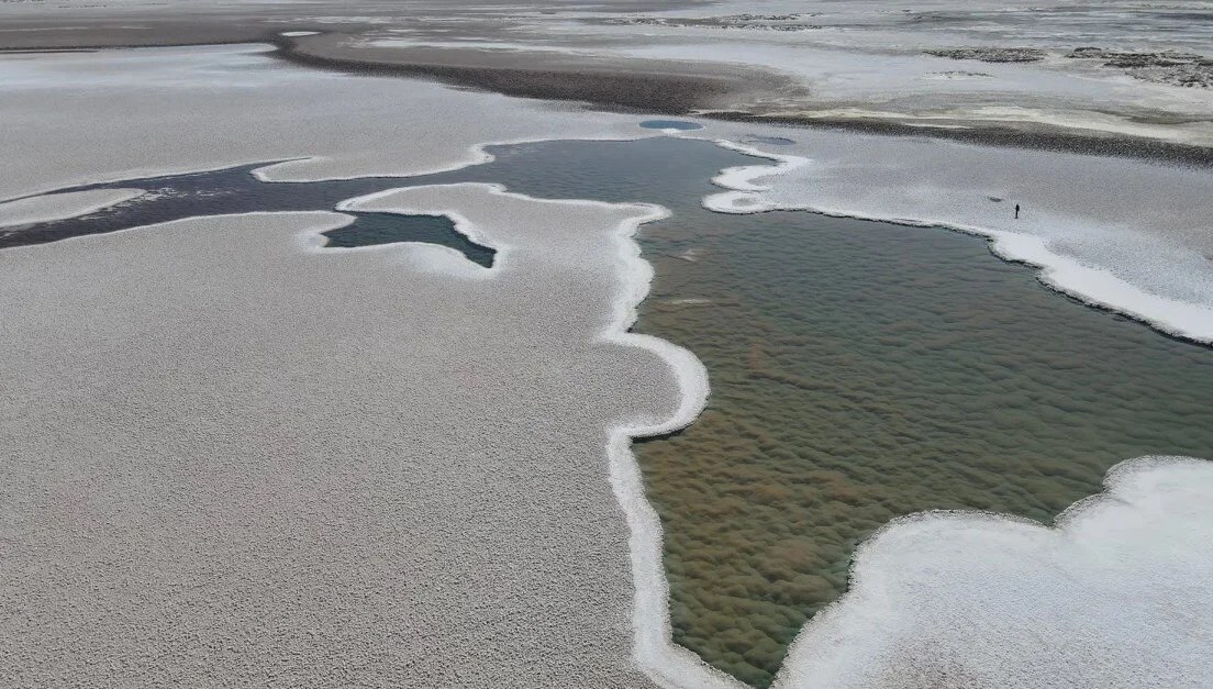 3 Billion-Year-Old Fossils Unearthed in Argentina