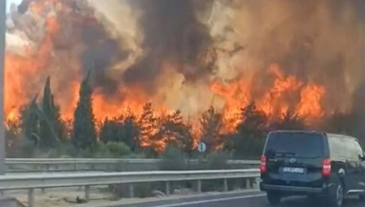 İzmir’de orman yangını: Trafik, kontrollü olarak sağlanıyor
