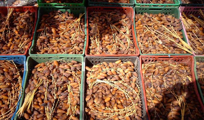 خبر مؤسف لمُنتظري المهرجان الدولي للتمور في قبلي خبر مؤسف لمُنتظري المهرجان الدولي للتمور في قبلي