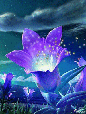 If you see some free hd gif wallpapers youd like to use just click on the image to download to your desktop or mobile devices. Colorful Flower Nature 235736624006202 By Orquid12