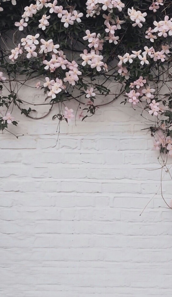 Exude sophisticated serenity with our white silk rose flower wall panels,. Background Flowers Wall 269186446012201 By Backgroundx