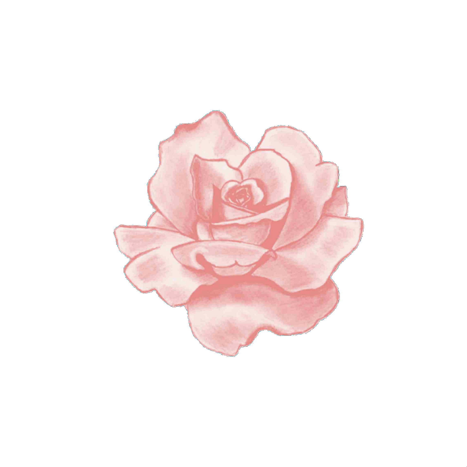 Decorate your laptops, water bottles, notebooks and windows. fotoedit rose roseblackpink blackpink bts pastel aesthe...