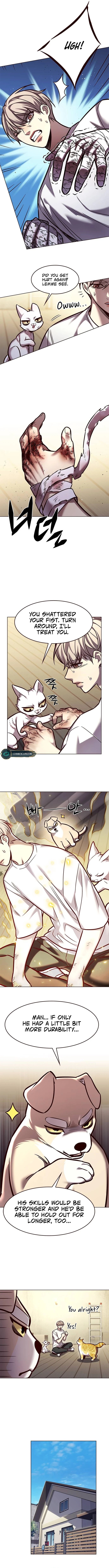 Chapter 284 - Page 7