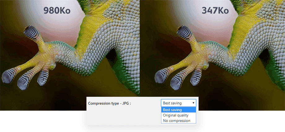 Best image compression wordpress plugins: Wordpress Image Pdf Compression Plugin