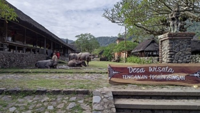 Melihat Desa Tenganan Bali Aga Masih Pertahankan Tradisi Kuno, Warga Dilarang Menikah dengan Orang Luar 