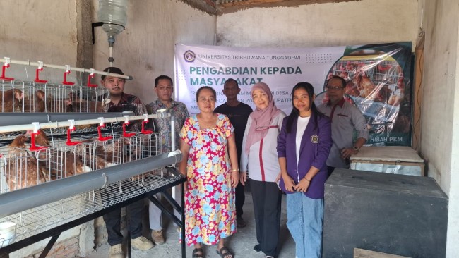 Dosen UNITRI Dampingi Peternak Ayam Petelur di Malang, Lahirkan Peternak Mandiri dan Tingkatkan Ekonomi Warga