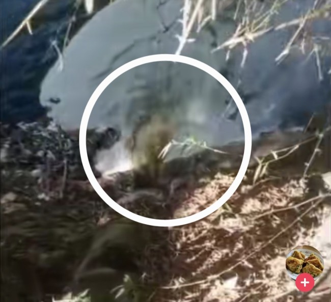 Viral, Dugaan Limbah Pabrik Dibuang ke Sungai di Pakisaji Malang