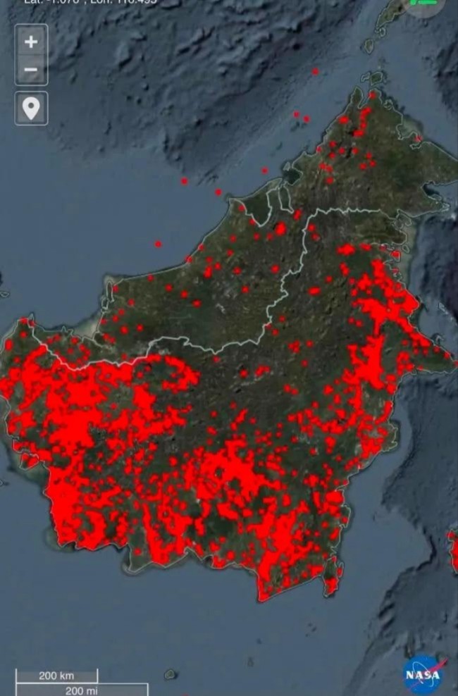 Karhutla Kalimantan Makin Parah, Anggota DPR Desak Pemerintah Tetapkan Bencana Nasional