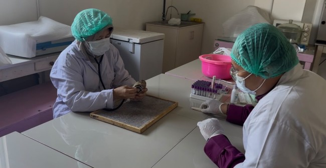 Dosen Unisma Kembangkan Pakan Berbasis Magot dan Vitamin E untuk Tingkatkan Kualitas Telur Puyuh