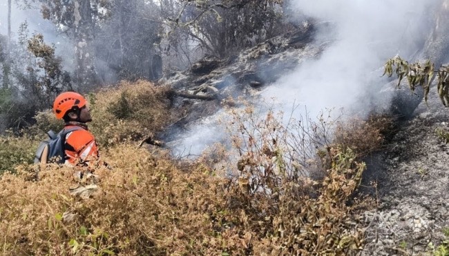 Kebakaran Hutan Gunung Buthak Padam, Tim Gabungan Pastikan 271 Pendaki Dievakuasi dengan Selamat