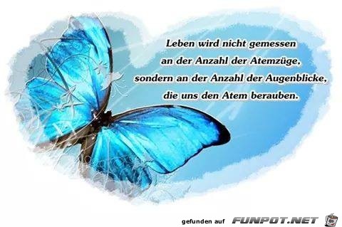 10 Schone Spruche Und Lebensweisheiten Aus