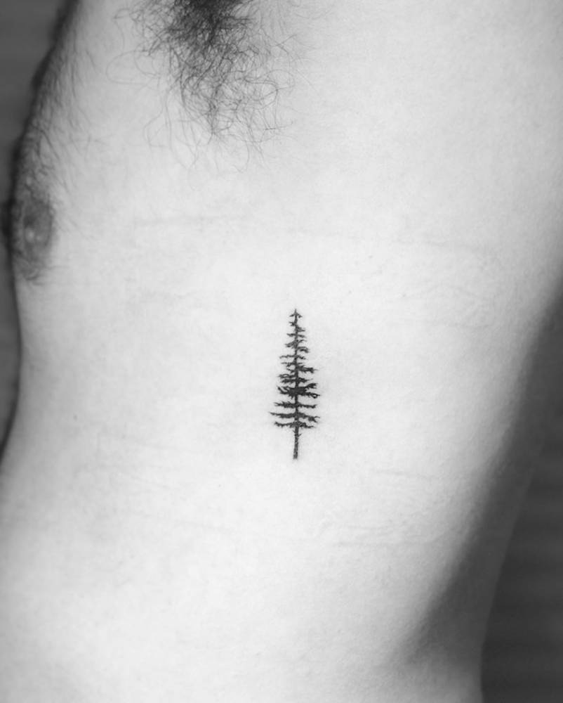 Pine Tree Tattoo On The Left Side Ribcage. 1000_x_802_jpg