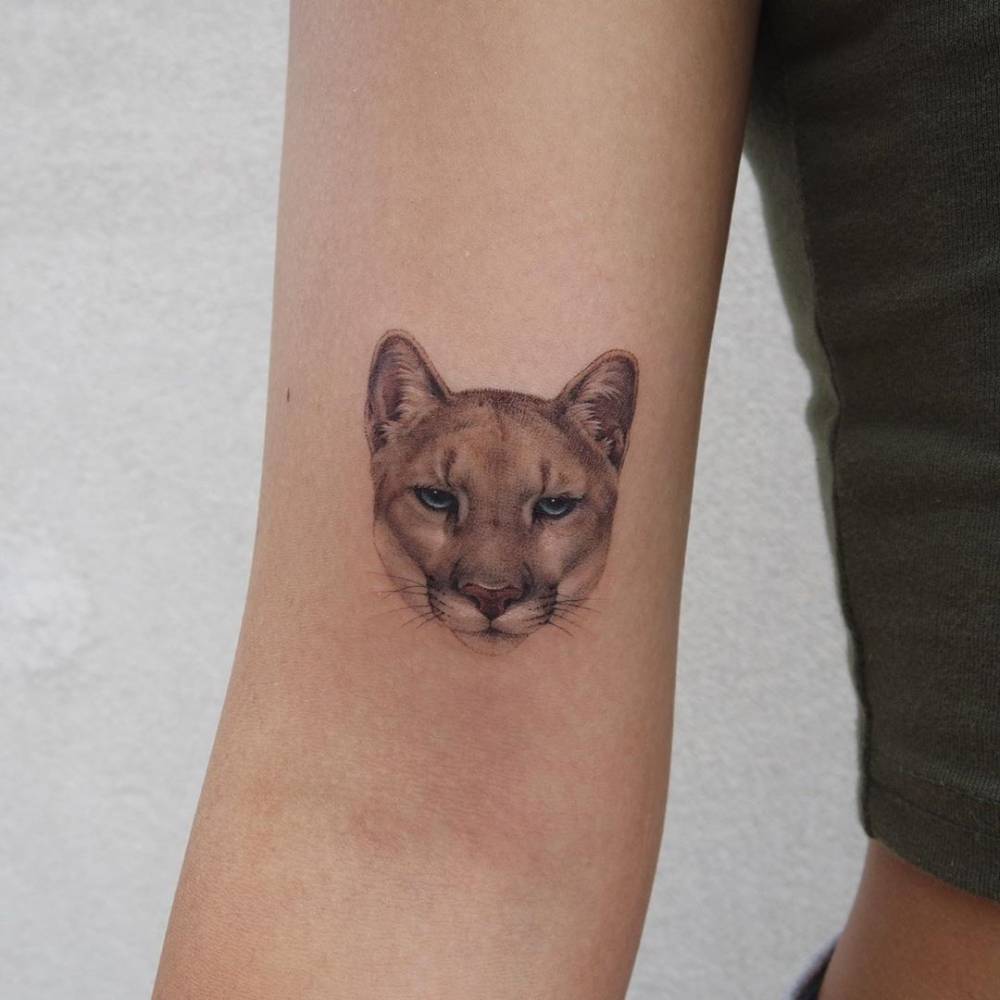 Tattoo Puma Off 72% - Www.gmcanantnag.net 1000_x_1000_jpg
