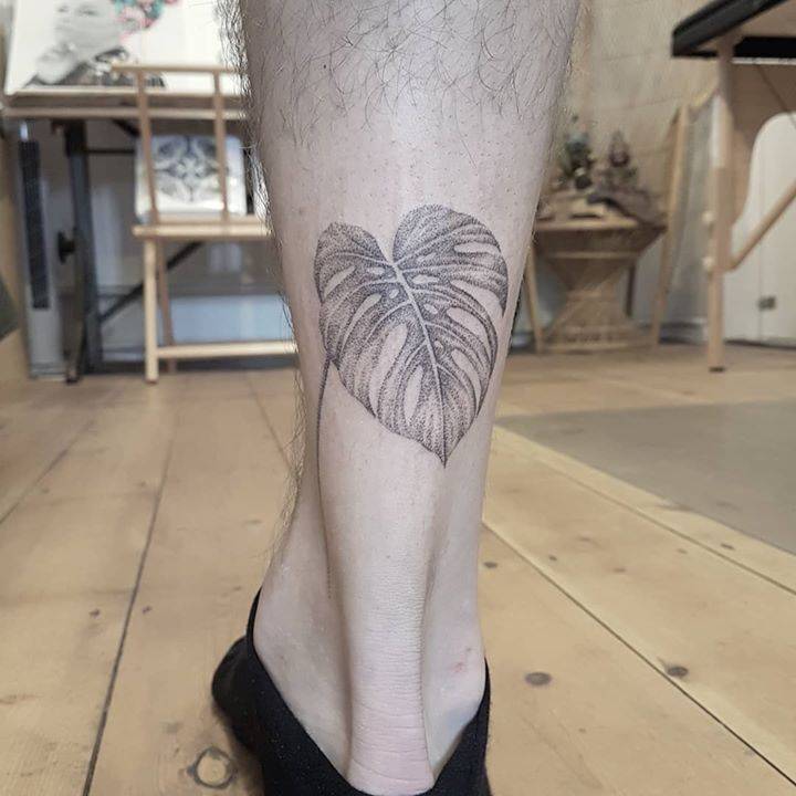 Dotwork Monstera Deliciosa Leaf Tattoo. 720_x_720_jpg