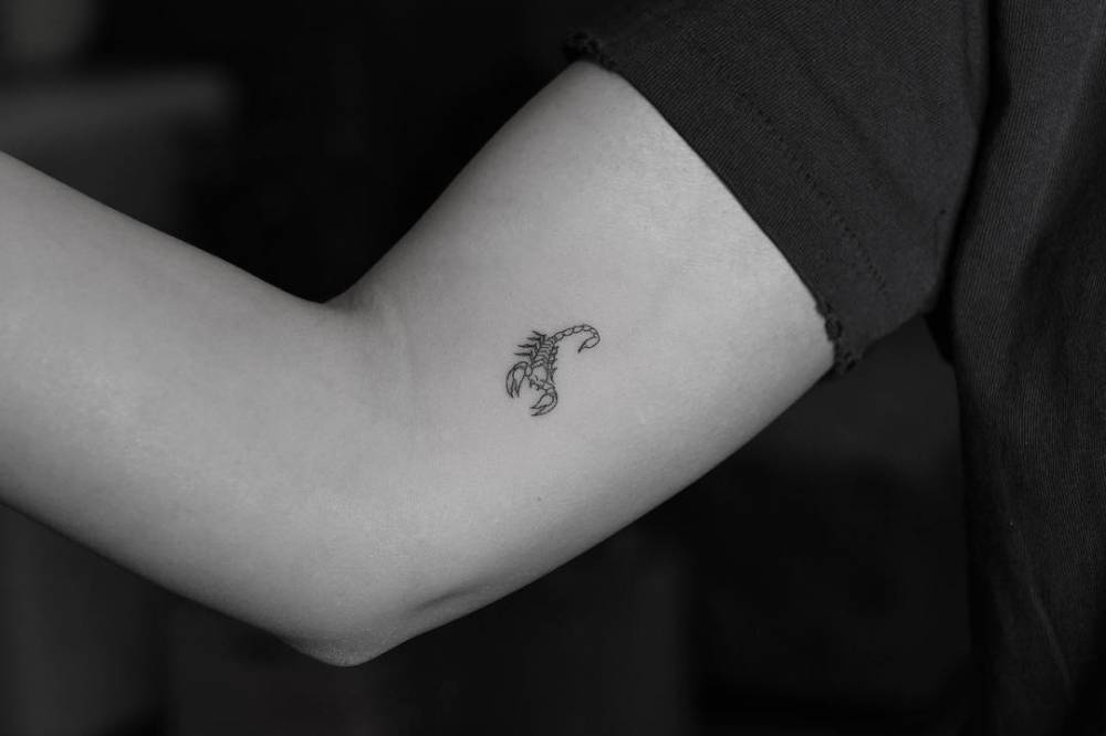 Small Scorpion On Nicole Guerriero. For Family. Family 666_x_1000_jpg