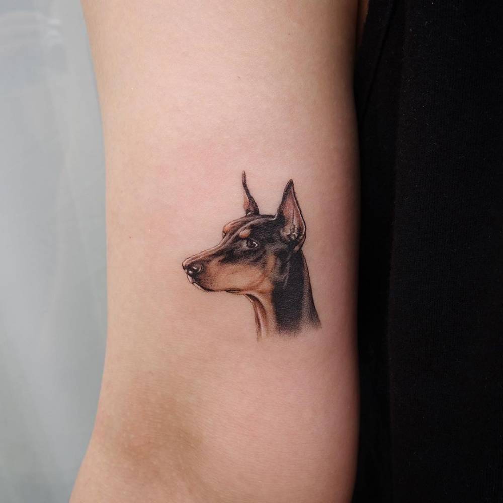 Doberman Tattoo. 1000_x_1000_jpg