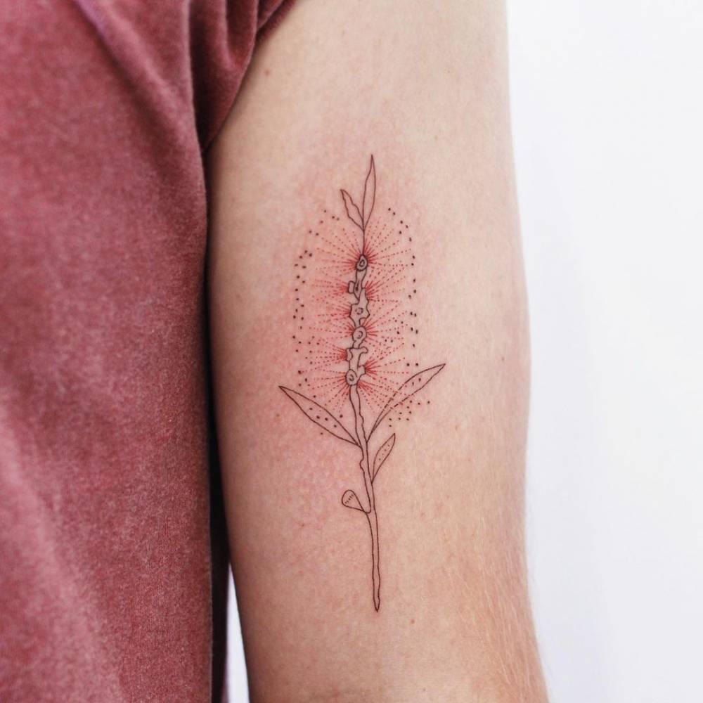 Bottlebrush Tattoo On The Tricep 1000_x_1000_jpg