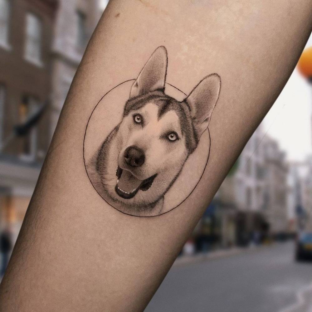 Micro-Realistic Husky Tattoo On The Inner Forearm. 1000_x_1000_jpg