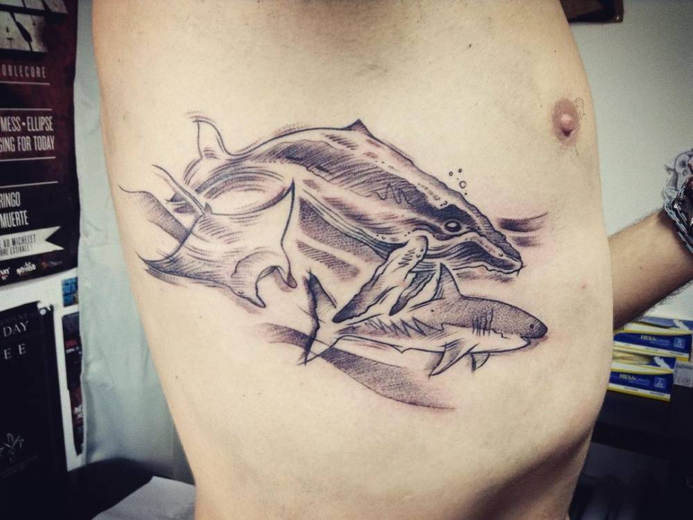 Sketch Work Shark, Whale And Manta Ray Tattoo On The 751_x_1000_jpg