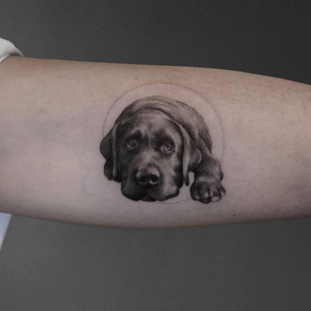 Micro-Realistic Labrador Tattoo On The Inner Arm. 1000_x_1000_jpg