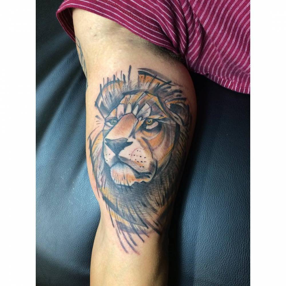 Sketch Work Lion Portrait Tattoo On The Inner Arm. 1000_x_1000_jpg