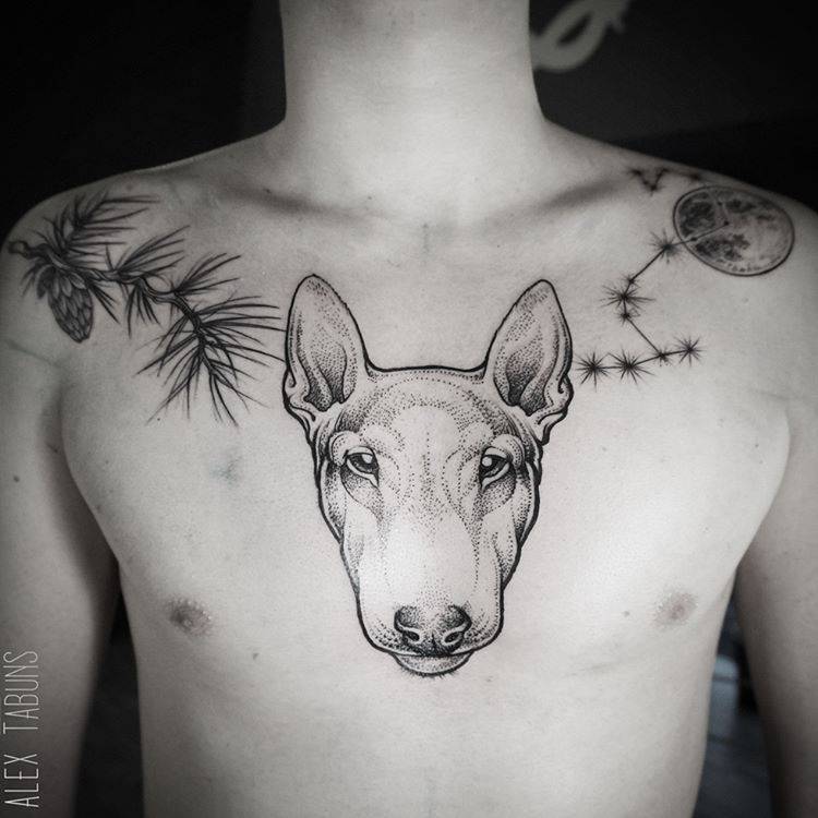 Bull Terrier Tattoo On The Chest. 750_x_750_jpg