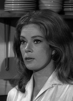 Allgemeine grundsätze, bestimmungen allgemeiner merkmale, begriffe. Antoinette Bower Nude - Leaked Videos, Pics and Sex Tapes