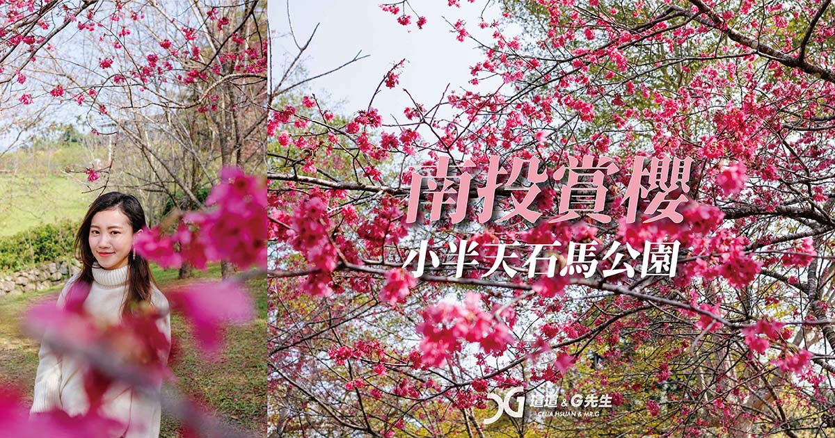 南投賞櫻景點 南投櫻花景點 南投景點 鹿谷櫻花 小半天 石馬公園 鹿谷景點 鹿谷一日遊
