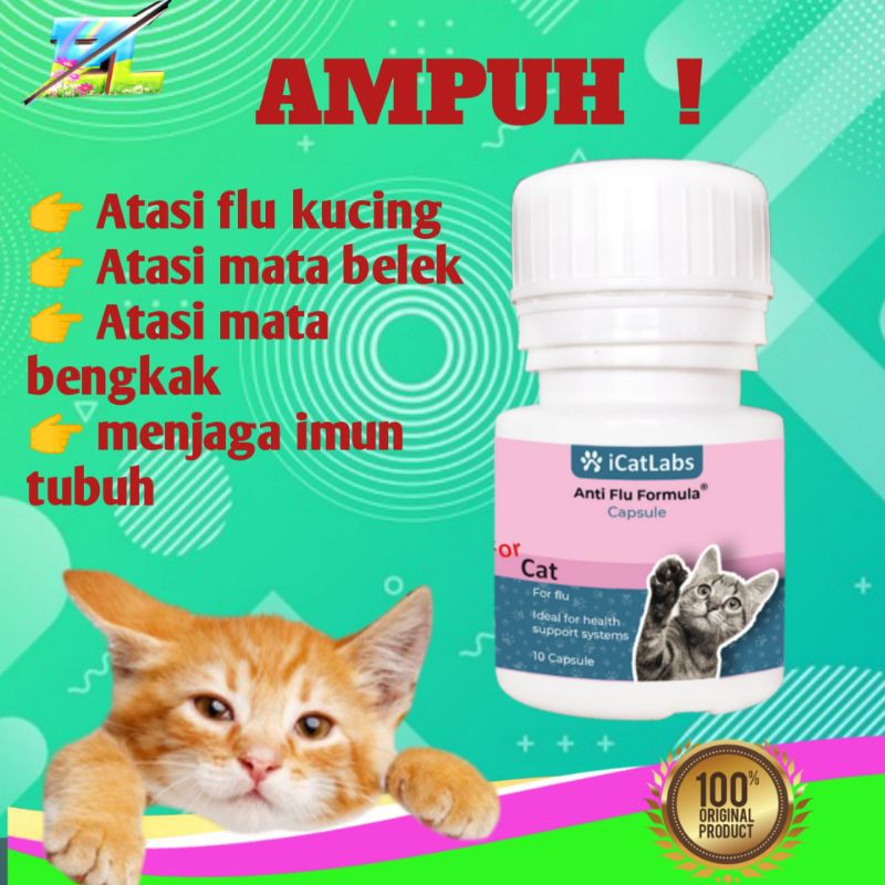 Jual Obat Flu kucing yang disertai mata bengkak belekan batuk anti body  virus pada kitten atau dewasa Indonesia|Shopee Indonesia