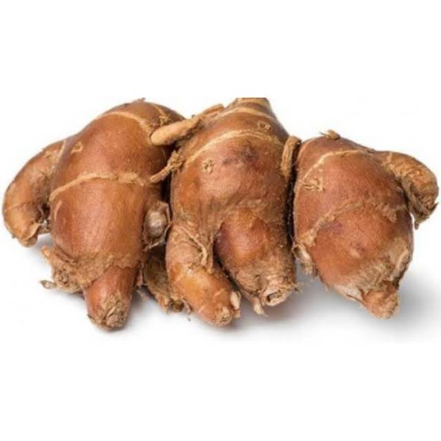 Kencur 100 gram | Shopee Indonesia