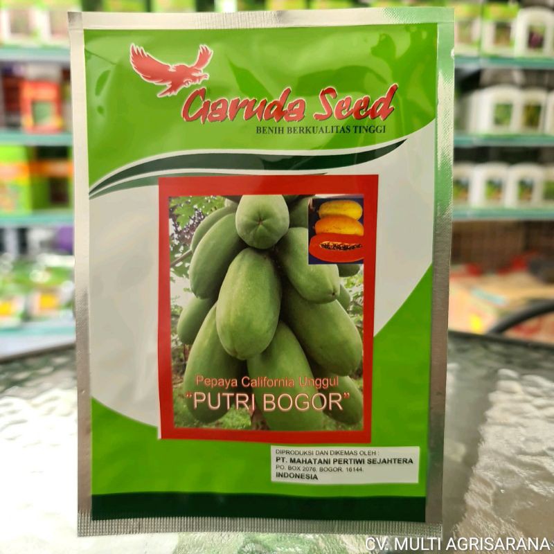 Benih Pepaya California PUTRI BOGOR | Shopee Indonesia