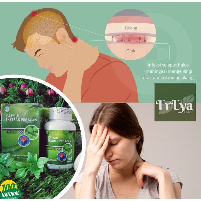 Jual OBAT MENINGITIS, OBAT HERBAL RADANG SELAPUT OTAK, PERADANGAN MENINGEN  LAPISAN PELINDUNG OTAK AKIBAT BAKTERI VIRUS Indonesia|Shopee Indonesia