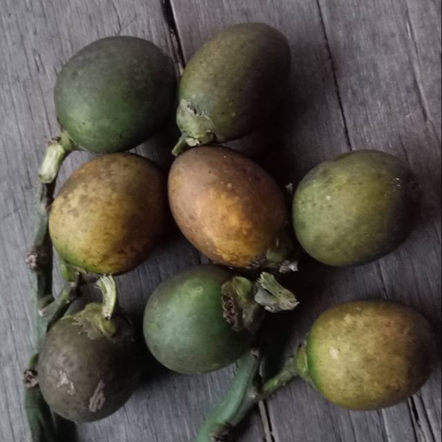 Buah pinang wangi aceh/Buah Pinang Tua / Pinang Jambe / Pinang Fresh/pinang  muda harga 1kg | Shopee Indonesia