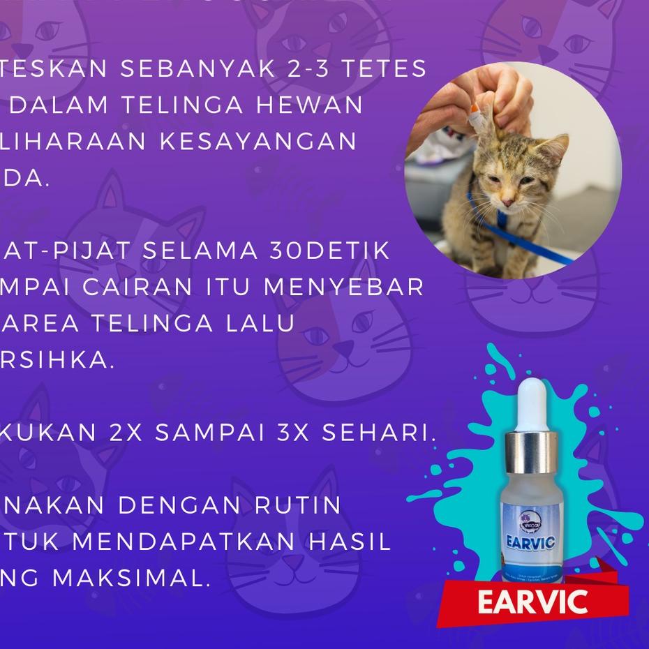GS6☎ EARVIC Obat tetes telinga kucing mengobati earmites kutu telinga  radang otitis ♥ ,,.. | Shopee Indonesia