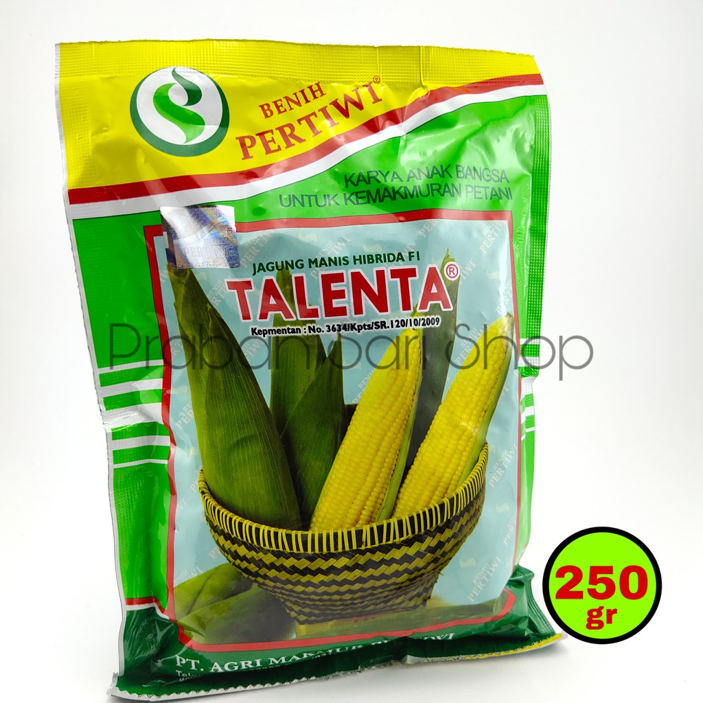 Jagung manis bonanza f1 200 biji, untuk dataran rendah hingga menengah, . Jual Talenta Benih Jagung Manis Pertiwi Kemasan 250 Gram Indonesia Shopee Indonesia