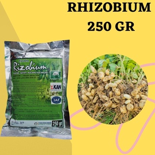 Pemupukan yang sesuai untuk pertumbuhan dan produksi kacang tanah di lahan sawah tadah hujan dataran rendah dan dataran tinggi. Jual Pupuk Untuk Kacang Tanah Organik Gdm 1liter Indonesia Shopee Indonesia