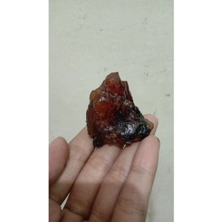 Selain itu, ada juga peserta lomba mancing yang menggunakan fosil getah katilayu cirebon sebagai jimat mancing ikan dengan cara fosil getah . Getah Katilayu 100 Asli Bahan Essen Katilayu Buat Mancing Ikan Tawar Laut Shopee Indonesia