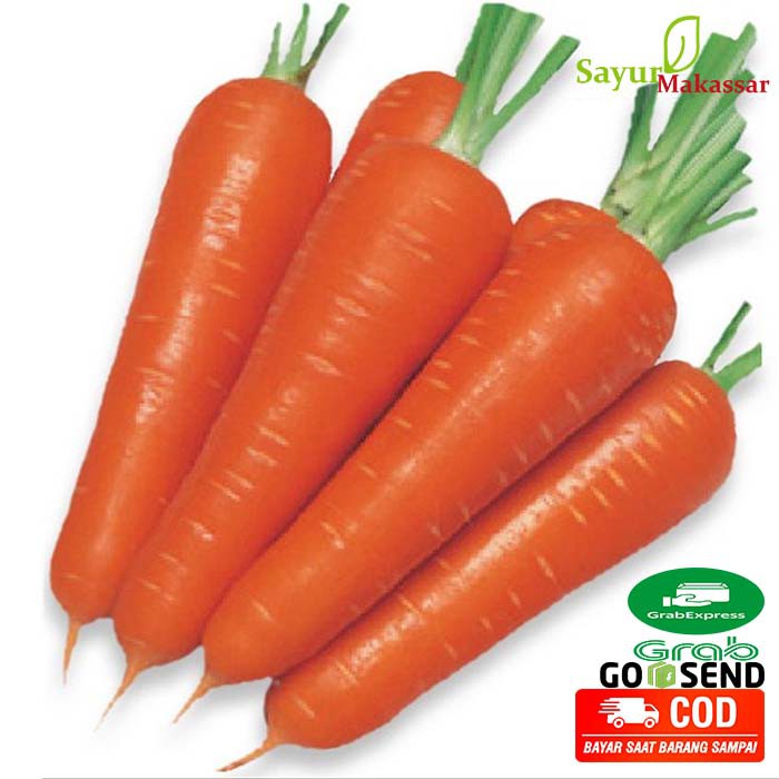 wortel Harga Terbaik - Oktober 2021 | Shopee Indonesia