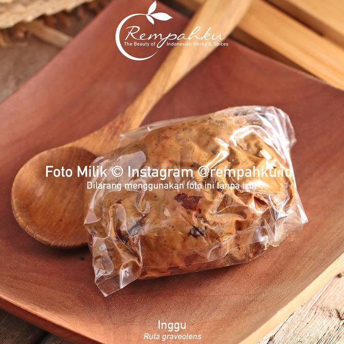 Menetralkan racun · mengatasi demam dan panas · mengatasi cacingan · mengatasi sakit gigi · mengatasi gigitan hewan dan luka · melancarkan haid. New Product Rempahku Inggu Getah 1pc Ruta Graveolens Anggustufolia Jamu Herbal Ar064 Shopee Indonesia