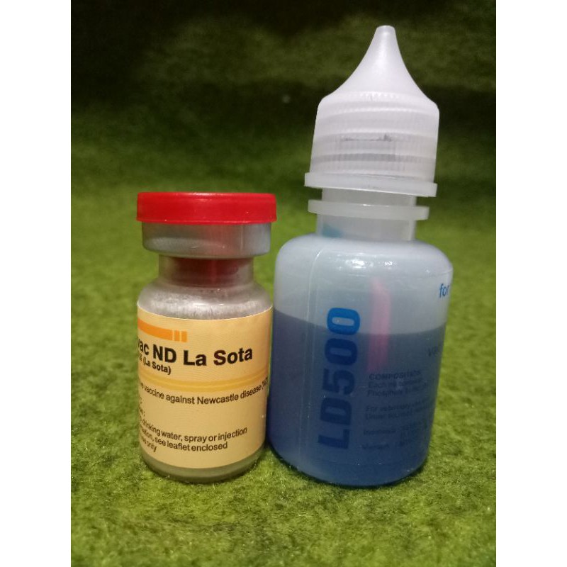 1 dosis setiap ekor melalui tetes mata, . Vaksin Ayam Nd Lasota Vaksin Tetes Vaksin Minum Shopee Indonesia