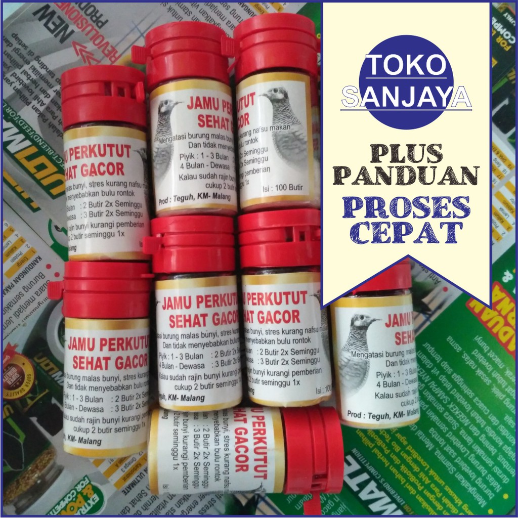 Cara Mengatasi Suara Serak Pada Perkutut - Berbagai Suara