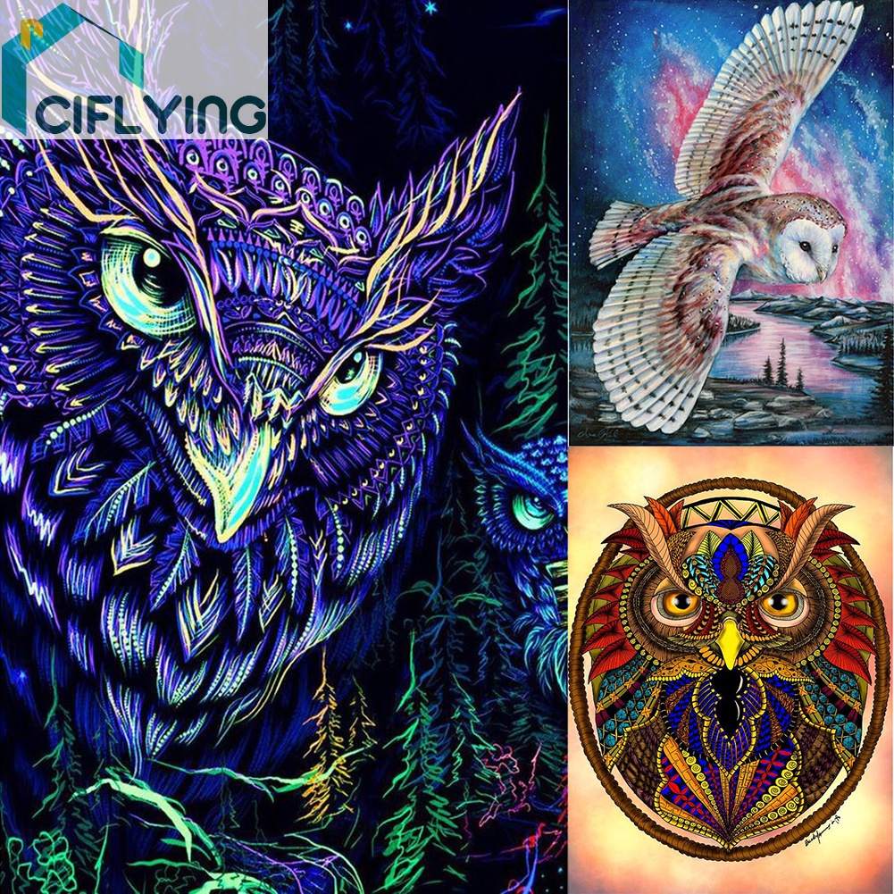 Jual Ciflying Lukisan Diamond 5D Diy Gambar Burung Hantu Untuk Dekorasi Rumah Indonesia|Shopee Indonesia 1001_X_1001_jpg