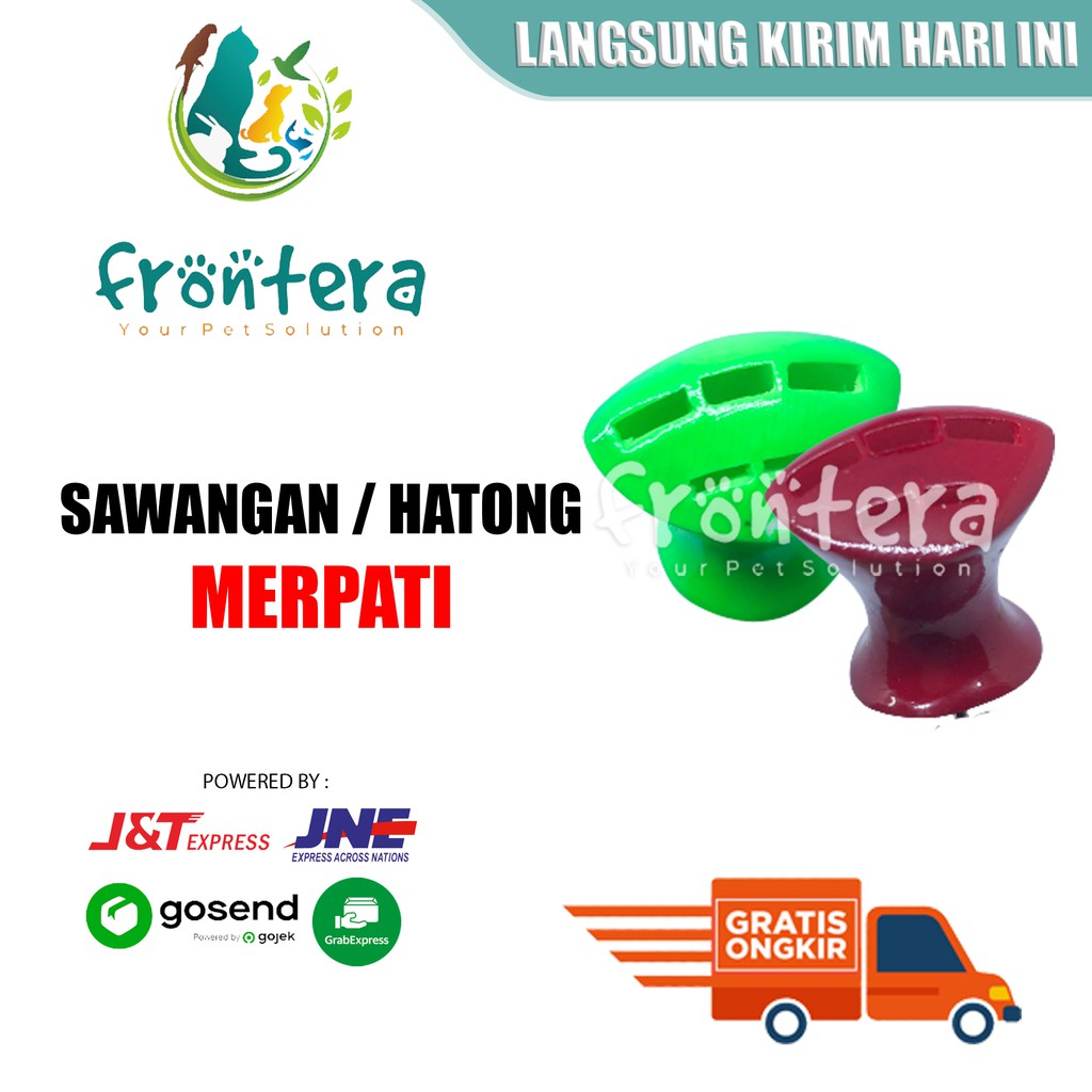 Harga Hatong Terbaru Agustus 2021 | BigGo Indonesia