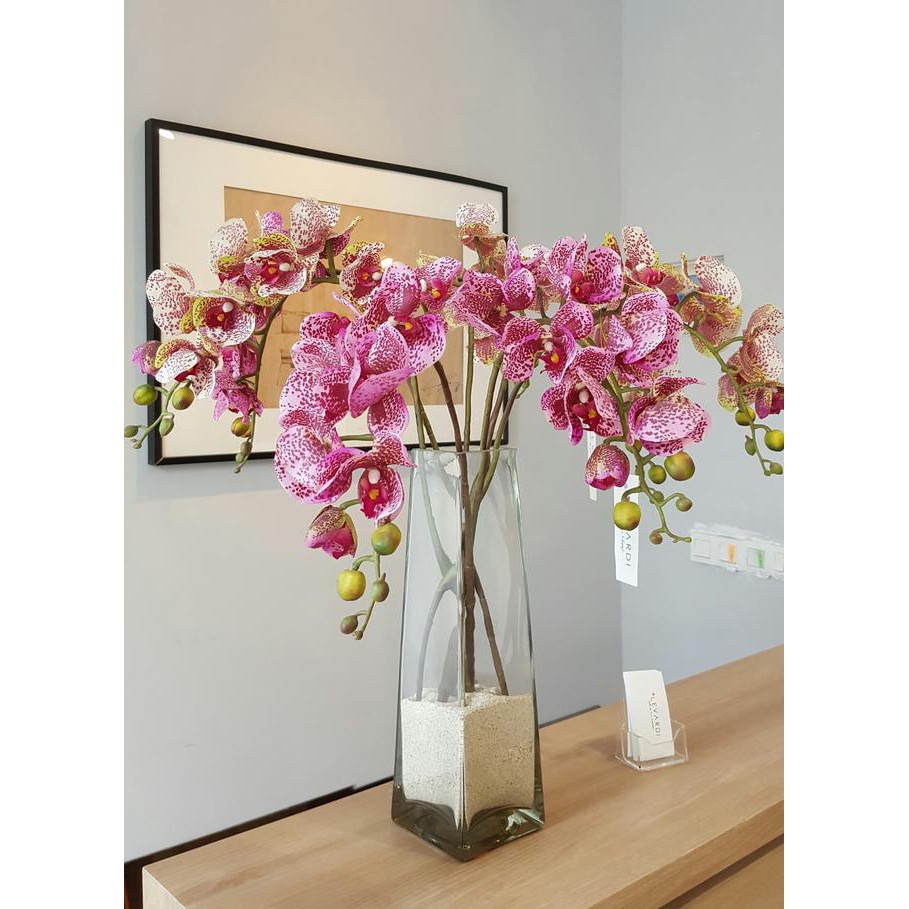 Cantik dan keren Vas Bunga Kaca Bening | Shopee Indonesia